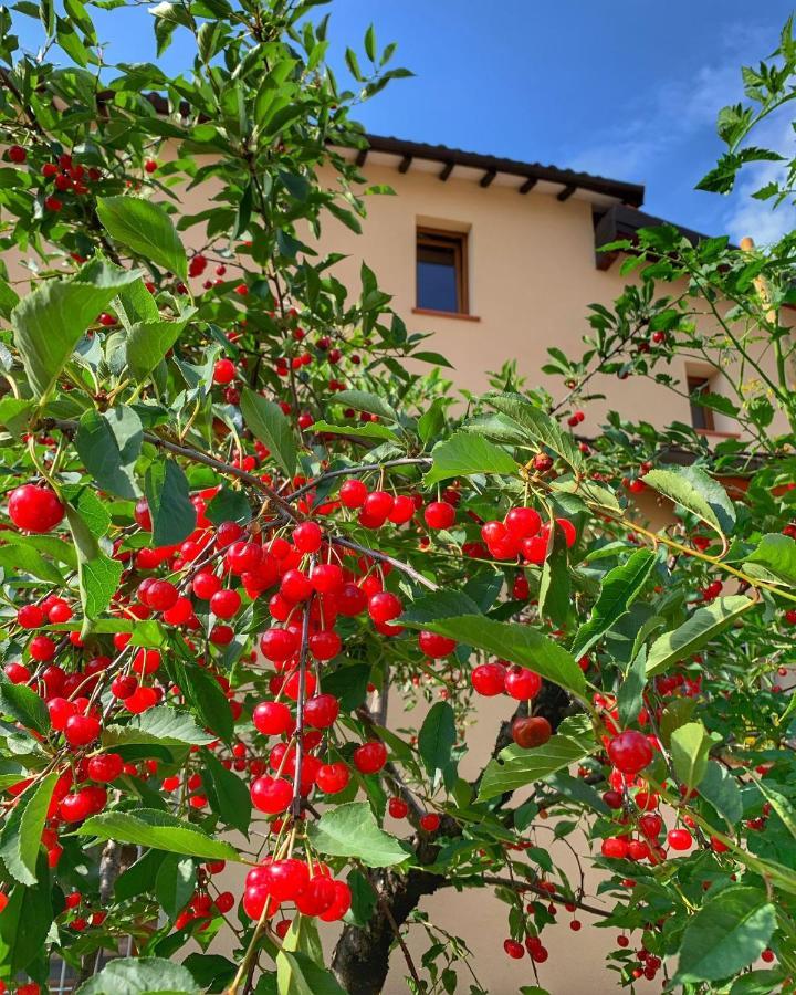فندق Casa Due Marie Marano Sul Panaro المظهر الخارجي الصورة