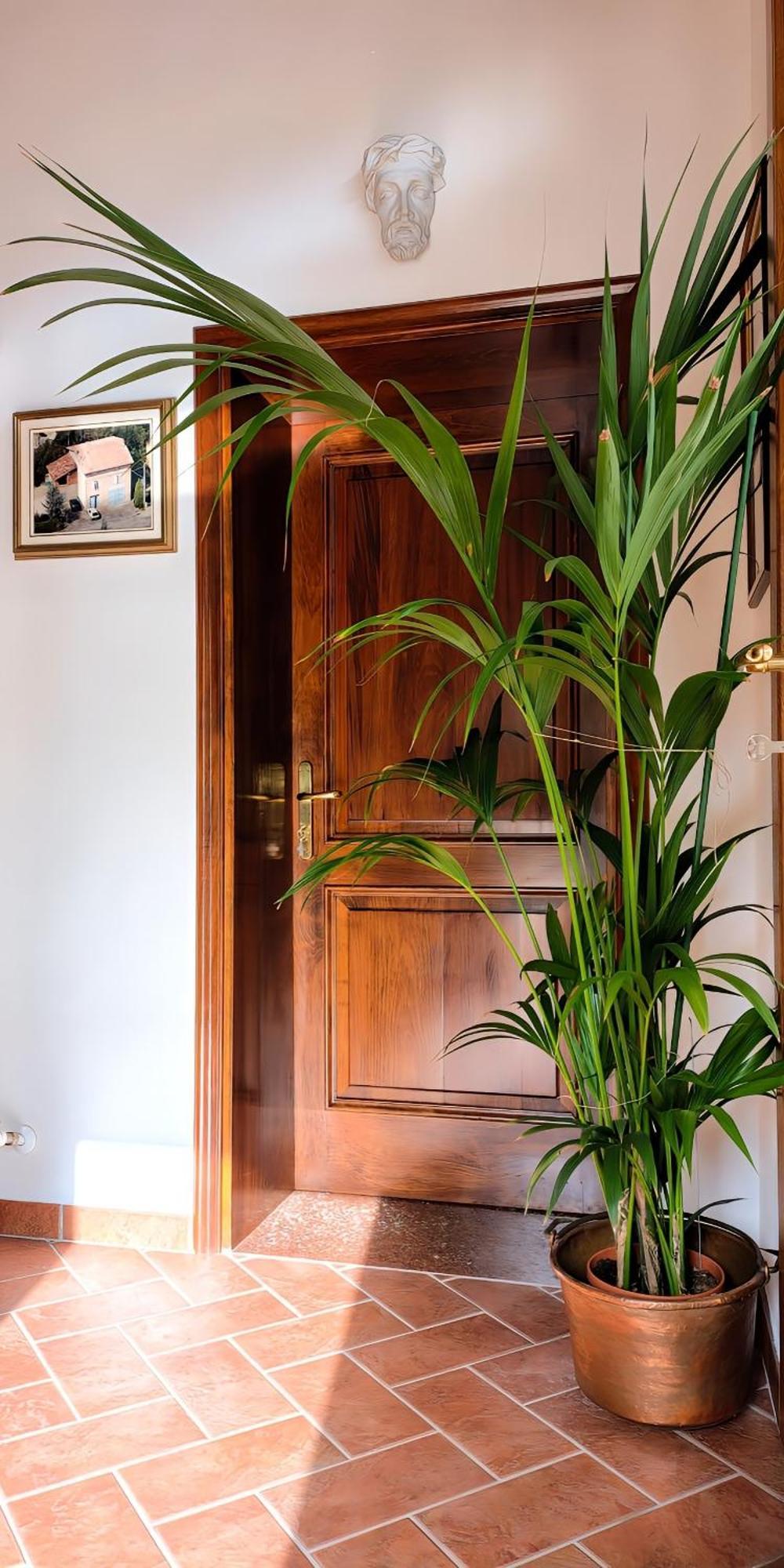 فندق Casa Due Marie Marano Sul Panaro المظهر الخارجي الصورة